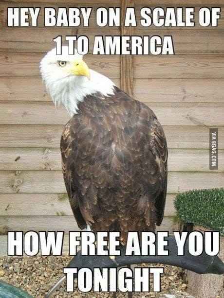 f8470376ed99975f385501081887ad43